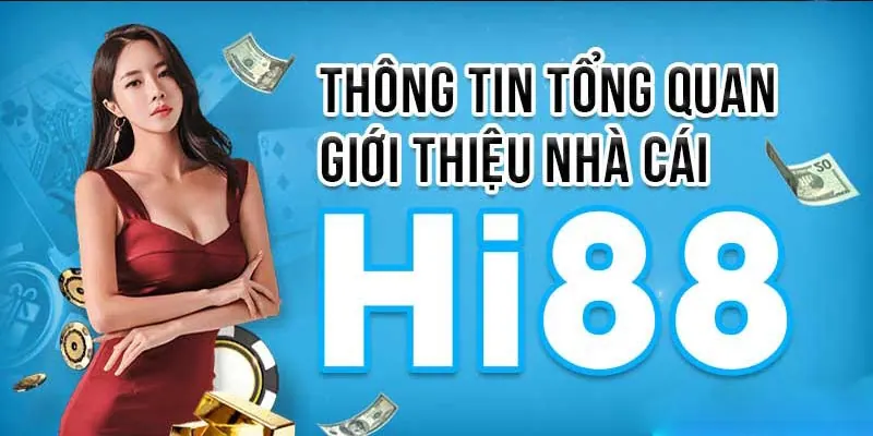 Hướng dẫn 8Xbet - Bắt đầu từ thông tin bạn thực sự cần