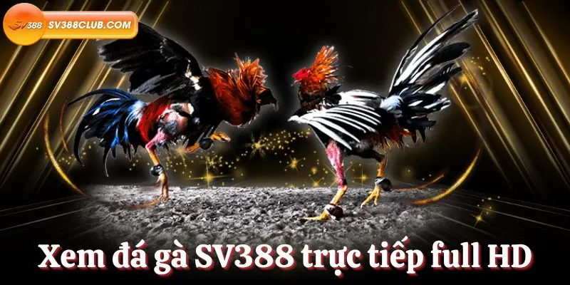 Đối chiếu thông tin thay vì suy đoán - 18Win